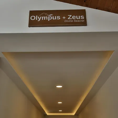 Olympus And Zeus