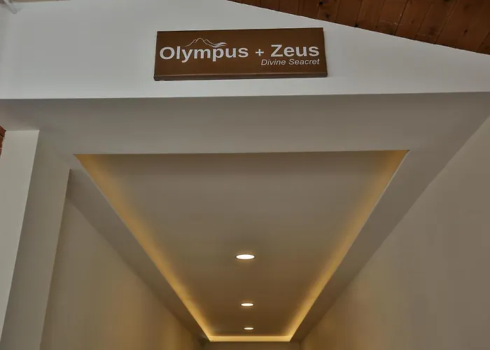 Olympus And Zeus